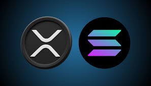 Дэвид Шварц присоединяется к соперничеству между XRP и Solana на X