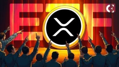 Генеральный директор Ripple отреагировал на впечатляющий рубеж XRP ETF