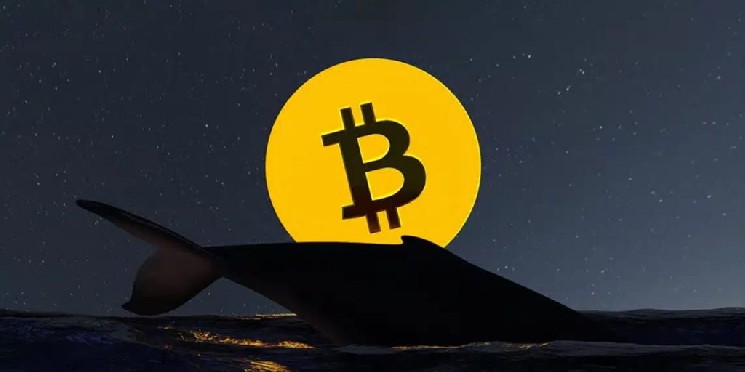 
 Инвестор, купивший биткоины по низкой цене 13 лет назад, перевел 500 BTC на Binance! Вот подробности		