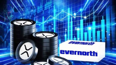 Evernorth выходит на Nasdaq: первая публичная компания с казначейством на XRP подала в SEC поправку S-4