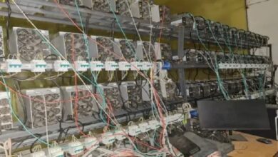 Названа сумма ущерба от нелегального майнинга в России за 2025 год