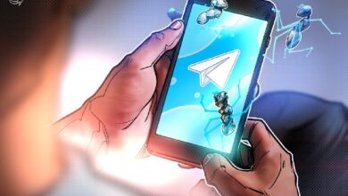 Telegram нарушает закон о рынке ценных бумагах — Общественная палата РФ