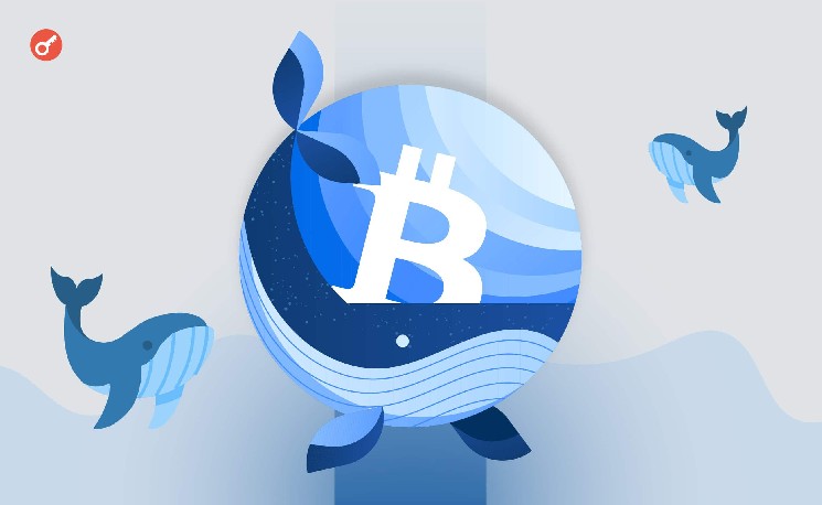 
 Эксперты сообщили об активации двух &laquo;спящих&raquo; Ethereum-китов		
