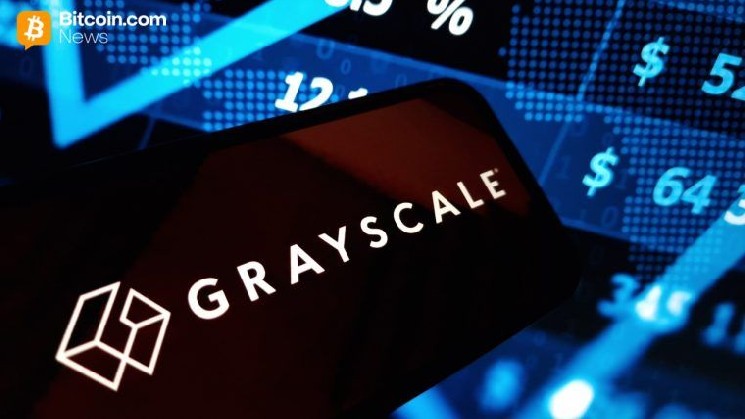 
 Grayscale назвала 4 криптовалютные сети, которые могут выиграть от принятия закона CLARITY		