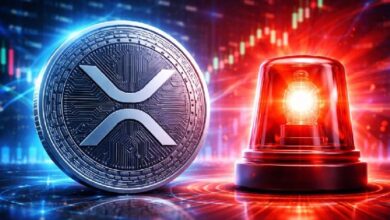 Внимание инвесторам XRP! Бывший технический директор Ripple Дэвид Шварц предупреждает: «Опасность серьезная и существенная!»