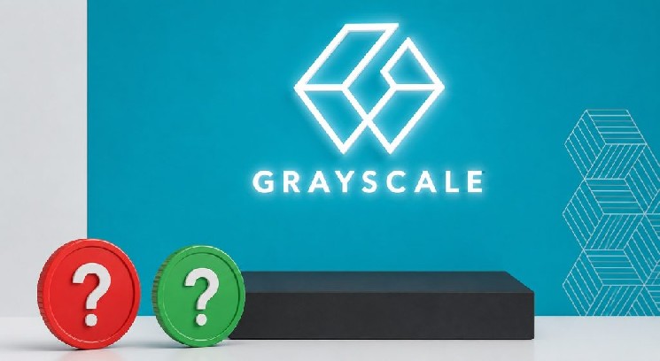 
 Компания Grayscale выявила 15 альткоинов, которые, по её утверждению, недооценены! Вот этот список		
