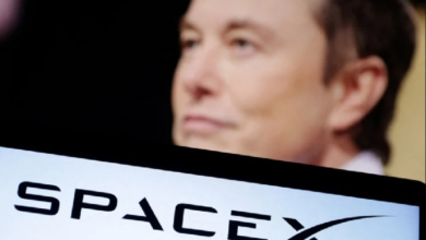 Компания Илона Маска SpaceX завтра проведет историческое IPO! Акции SpaceX будут торговаться в этой сети альткоинов!