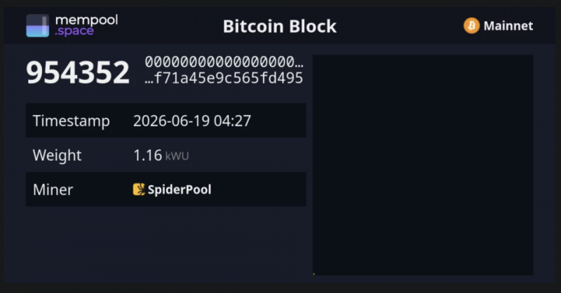 
 Майнинг-пул SpiderPool добыл пустой блок в Биткоине		