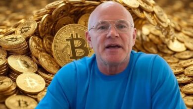 Миллиардер Майк Новограц объясняет, почему стоимость биткоина не выросла