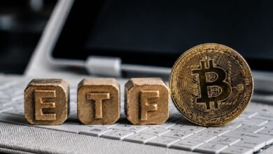 Руководитель компании Trezor утверждает, что спотовые ETF на биткоин и альткоины представляют долгосрочные риски