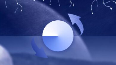 Base активирует стандарт B20 для выпуска нативных токенов