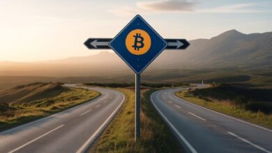 Биткоин (BTC) находится на критическом этапе: две аналитические компании предупредили и представили два ожидаемых сценария развития событий! Биткоин (BTC) находится на критическом этапе: две аналитические компании предупредили и представили два ожидаемых сценария развития событий!