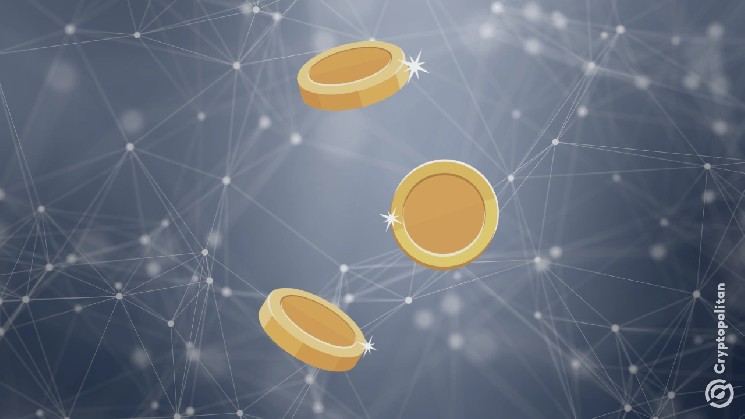 
 Компания DeFi Dev Corp передает контроль над DisclaimerCoin генеральному директору ZeroStack		