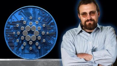Основатель Cardano Чарльз Хоскинсон рассказал о снижении цены ADA