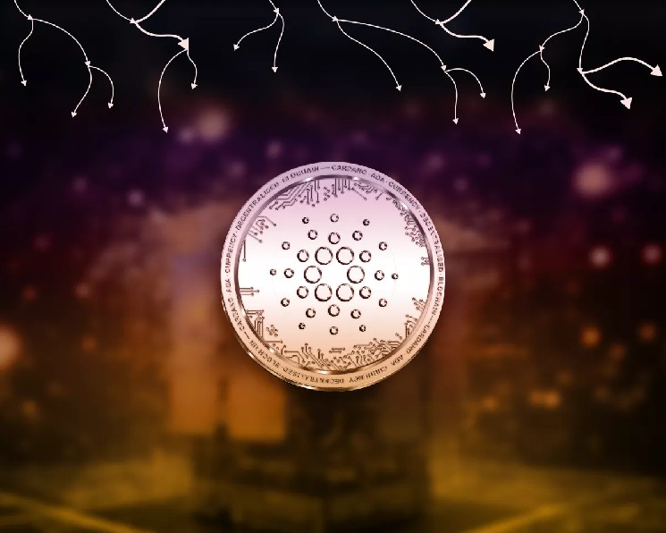 
 Разработчики Cardano предали управление узлом сообществу		