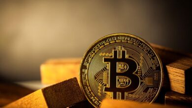Sui запустил тестнет Hashi для расширения возможностей биткоина Sui запустил тестнет Hashi для расширения возможностей биткоина