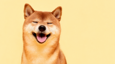 Dogecoin подшутил над «Человеком-пауком»: мемкоину нужны еще 11 таких премьер Dogecoin подшутил над «Человеком-пауком»: мемкоину нужны еще 11 таких премьер