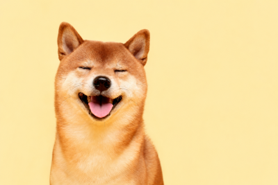 
 Dogecoin подшутил над &laquo;Человеком-пауком&raquo;: мемкоину нужны еще 11 таких премьер		