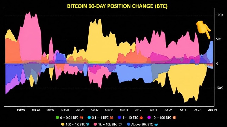 
 &laquo;Кит-инвесторы&raquo; в биткойнах увеличили свои запасы на 43 000 BTC, положив конец продолжавшейся несколько месяцев волне продаж		