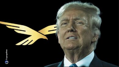 Компания World Liberty Financial, принадлежащая Трампу, сотрудничает с китайской компанией, имеющей ограниченный доступ к своим услугам, для предоставления услуг в области искусственного интеллекта