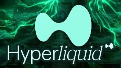Крупный криптоинвестор вывел из стейкинга HYPE на  млн