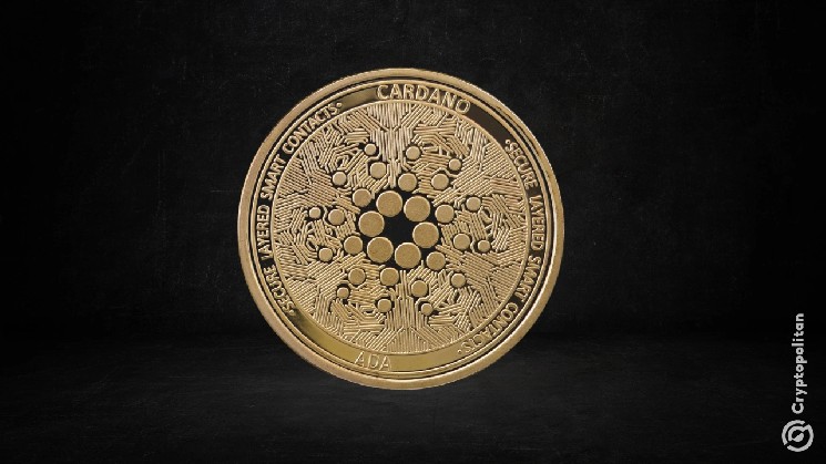 
 Технический директор Cardano Foundation уйдет в отставку в августе этого года		