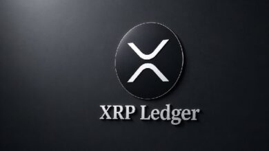 XRP получит новое обновление: вот что вам нужно знать XRP получит новое обновление: вот что вам нужно знать