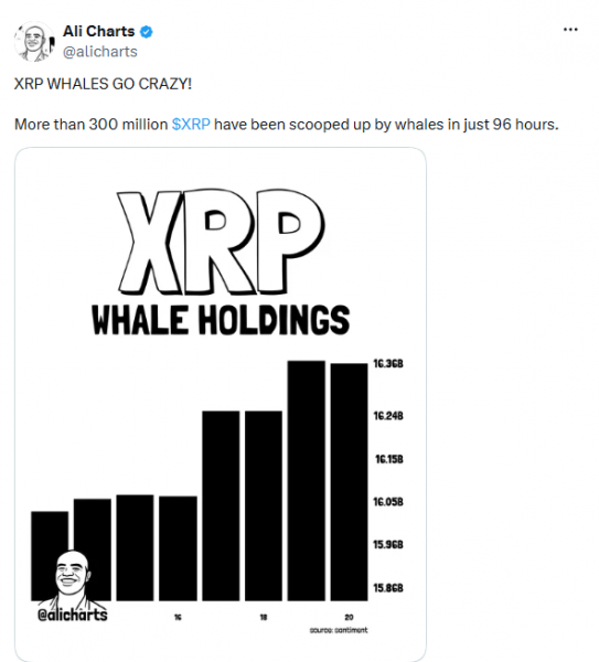 
 За несколько дней XRP-киты скупили более 300 млн токенов		