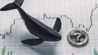 Интенсивная активность крупных инвесторов в биткоине и альткоинах после публикации данных об инфляции! Подробности