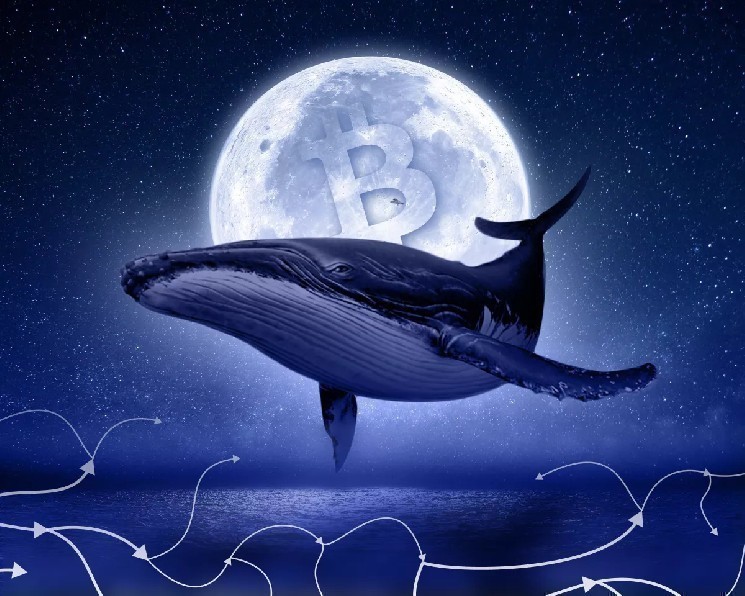 
 Участник ICO Ethereum направил в стейкинг монеты на $665 млн		